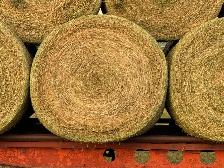 2026 - Hay for sale - Photo 3