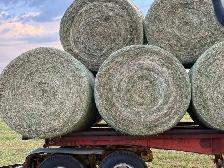 2026 - Hay for sale - Photo 4