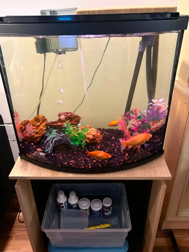 Aquarium