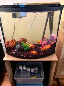 Aquarium