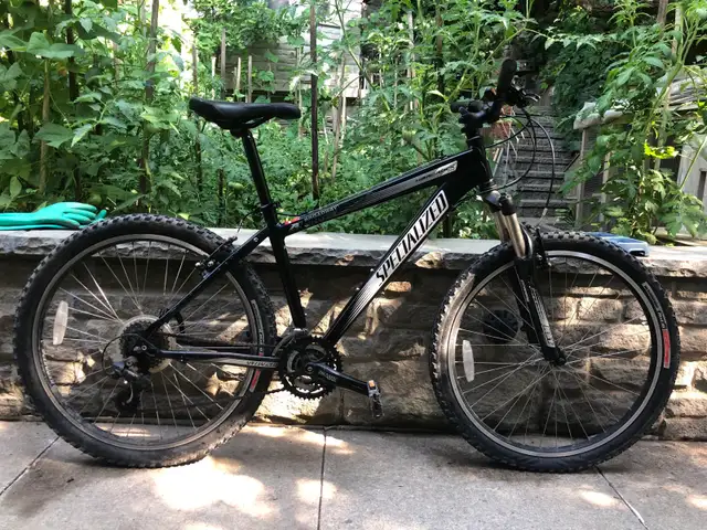 2010 Specialized mountain bike