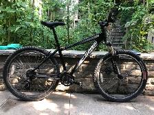 2010 Specialized mountain bike