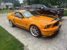 2008 shelby supersnake 427 edition