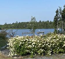 1 bedrm/1 bathrm, corner Suite, with a view of Schmidt Lake - Photo 14