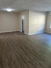 Choose from Four Fantastic Apartments - Photo 4