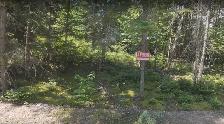 TERRAIN À VENDRE – PINE LAKE, SAINT-RAYMOND - Photo 2