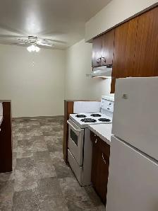 1 bedroom apartment - NOW SHOWING! - Photo 2