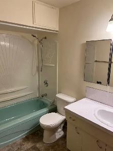 1 bedroom apartment - NOW SHOWING! - Photo 6