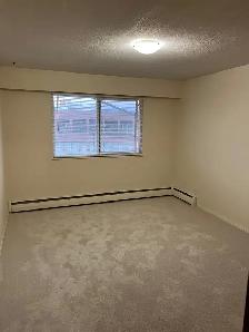 1 bedroom apartment - NOW SHOWING! - Photo 7