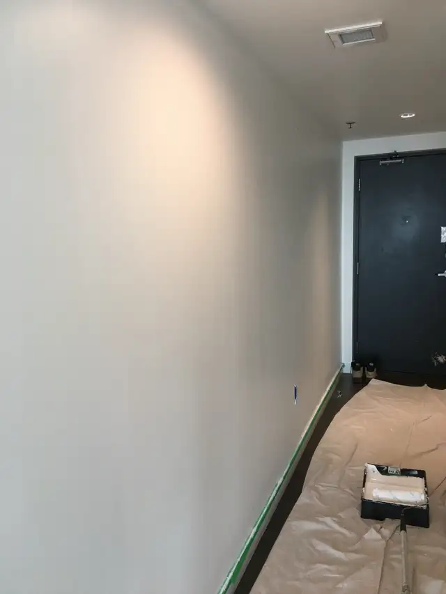Experienced Painter