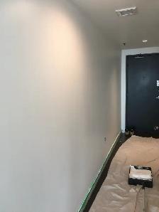 Experienced Painter