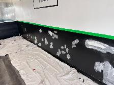 Experienced Painter - Photo 3
