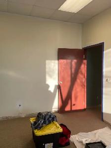 Experienced Painter - Photo 5
