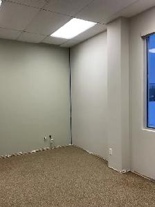 Experienced Painter - Photo 7