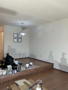 Experienced Painter - Photo 8