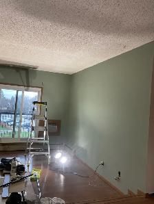 Experienced Painter - Photo 9