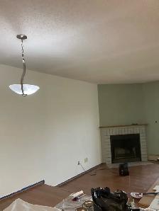 Experienced Painter - Photo 10
