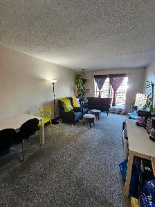 SUBLET 2BR 1bath apartment - Photo 10