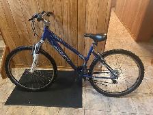 Scwinn Mountain Bike