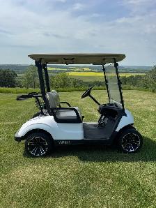 Yamaha golf cart - Photo 2