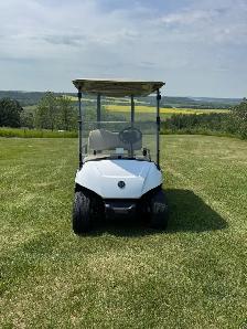 Yamaha golf cart - Photo 4