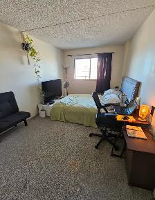 SUBLET 2BR 1bath apartment - Photo 6