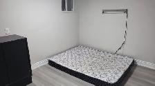 One room available in the basement for rent