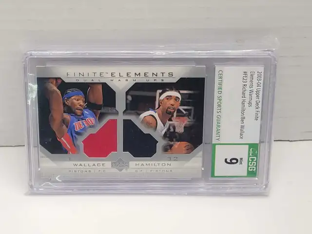Detroit Pistons Finite Elements Dual Jersey Wallace Hamilton