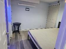 ONE BEDROOM BASEMENT FOR RENT FROM 1ST SEPTEMBER - Photo 2