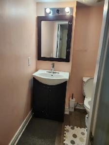 ONE BEDROOM BASEMENT FOR RENT FROM 1ST SEPTEMBER - Photo 9