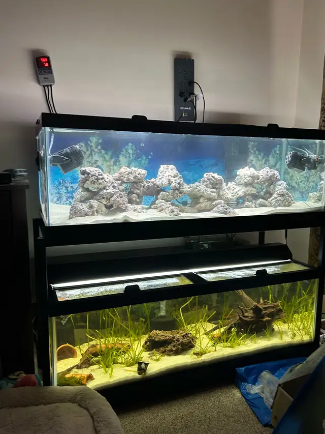 wanted: 5 gallon water jugs