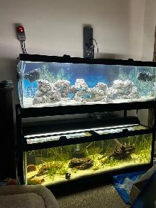 wanted: 5 gallon water jugs