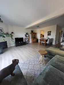 Bright 3 bed, 3 bath in Kanata for rent - Photo 3