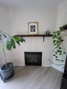 Bright 3 bed, 3 bath in Kanata for rent - Photo 6