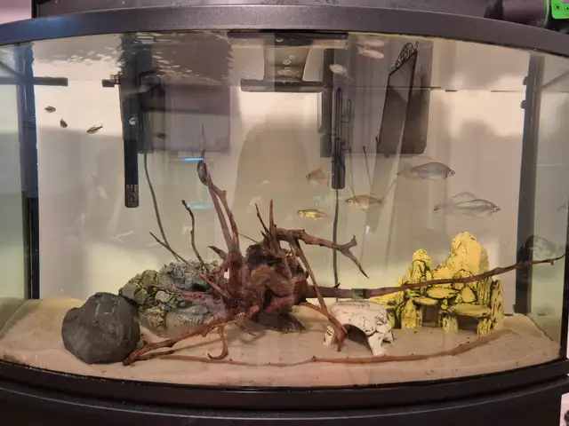 Aquarium - Fish Tank