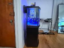 Aquarium - Fish Tank - Photo 3