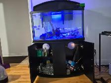Aquarium - Fish Tank - Photo 5
