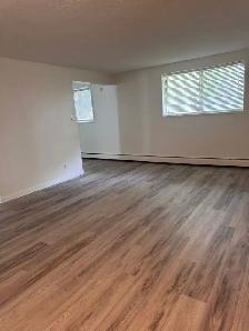 Heart of Old Strathcona - 1 bed with parking - Photo 3