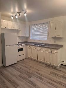 Heart of Old Strathcona - 1 bed with parking - Photo 5