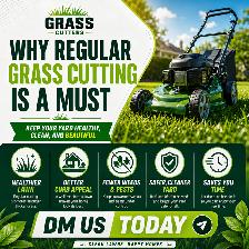 Grass cutting and basic car service at your home. - Photo 7