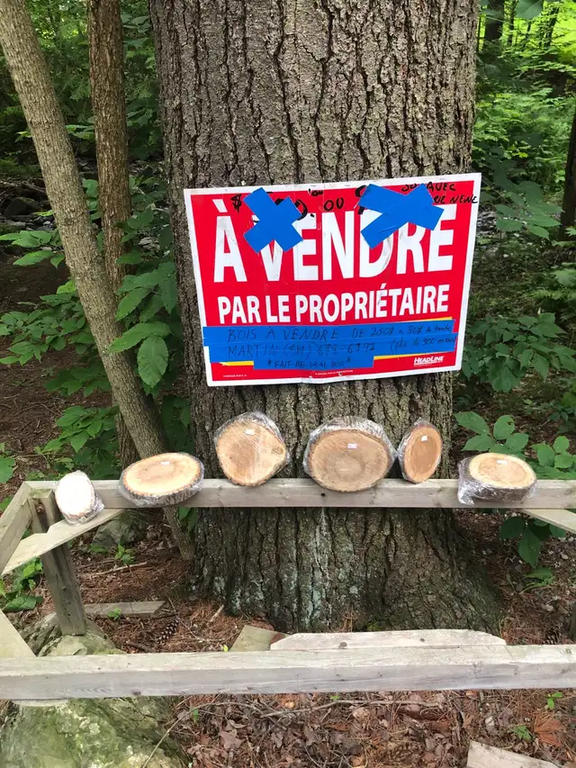 Bois en tranches à vendre à très très bon prix!