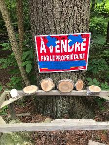 Bois en tranches à vendre à très très bon prix!