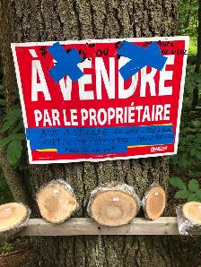 Bois en tranches à vendre à très très bon prix! - Photo 2