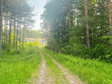 11.24 Acres for Sale in Caledon!