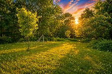 11.24 Acres for Sale in Caledon! - Photo 4