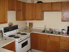 3Bed/1Bath-MainFloor-BonnieDoon-Internet/Utilities Included - Photo 6