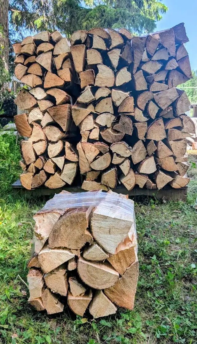 Tamarak Firewood Bundles