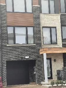 Entire Townhouse for Rent in Georgetown