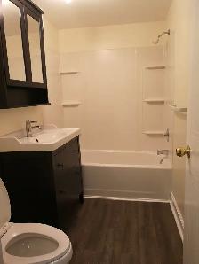 Beautiful & Bright 1-Bedroom Walkout Apartment – Oshawa - Photo 5