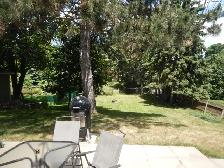 Beautiful & Bright 1-Bedroom Walkout Apartment – Oshawa - Photo 7